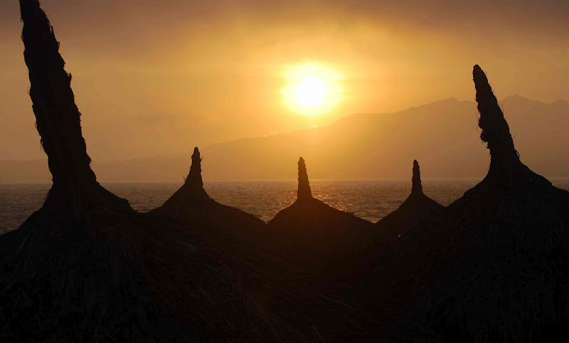 Sun Salutations