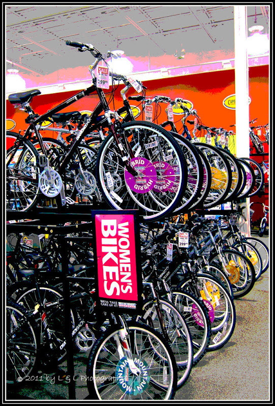 Ocala, Central Florida & Beyond Women's bikes at Dick's Sporting Goods...