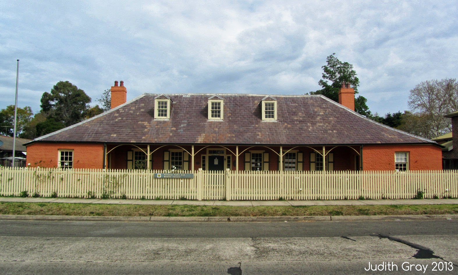 Redwhiskered Bulbul in Richmond, New South Wales 29/08/13