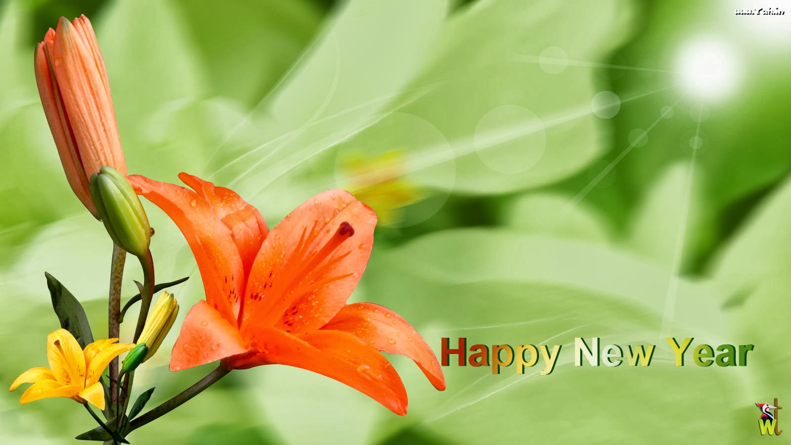 new year flower wallpaper happy new year 2014 flowers gifts wishes wallpapers new year flower wallpaper happy new year 2014 flowers gifts wishes wallpapers