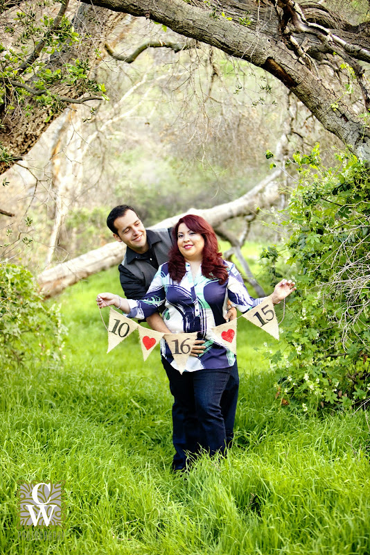 engagement portrait irvine regional park