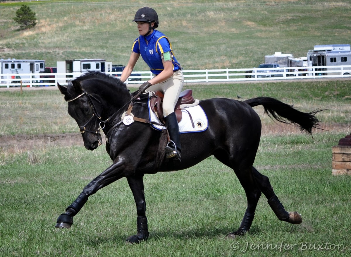 Braymere Custom Saddlery Canter leads