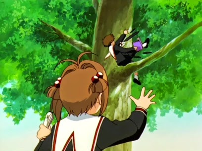 [카드캡터체리] 체리를 향한 샤오랑의 감정변화 | 인스티즈