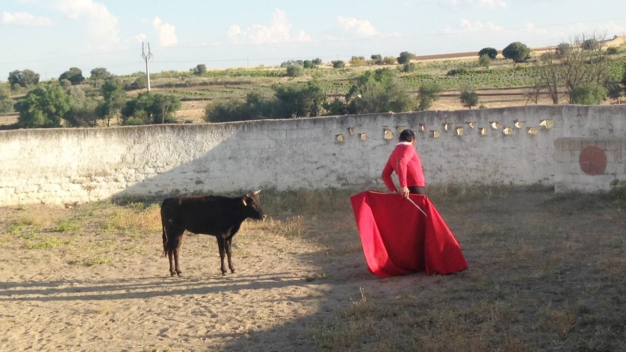 TORERIAS DE CHELIN EL CHIBOLO DE LIMA TENTANDO EN LA GANADERIA DE