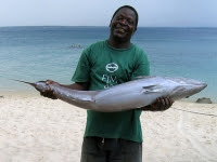 Mais de 20 mil toneladas de peixe capturadas em Cahora Bassa Mais de 20 mil toneladas de peixe capturadas em Cahora Bassa