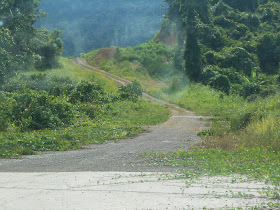 Road in Rural Sarawak