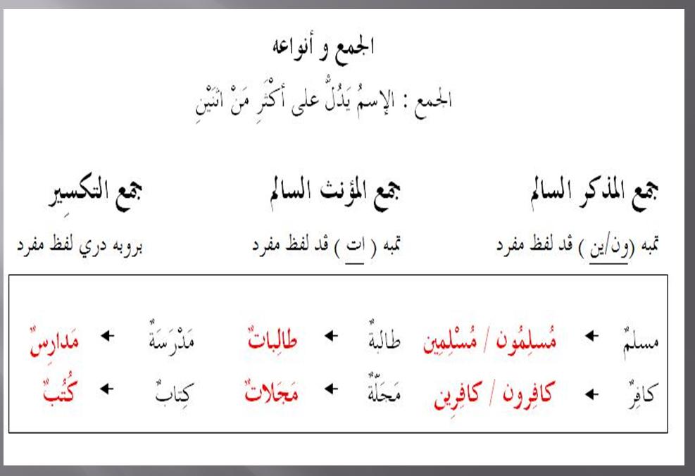 Inside In Inside Out Jama Taksir Dan Penggunaannya