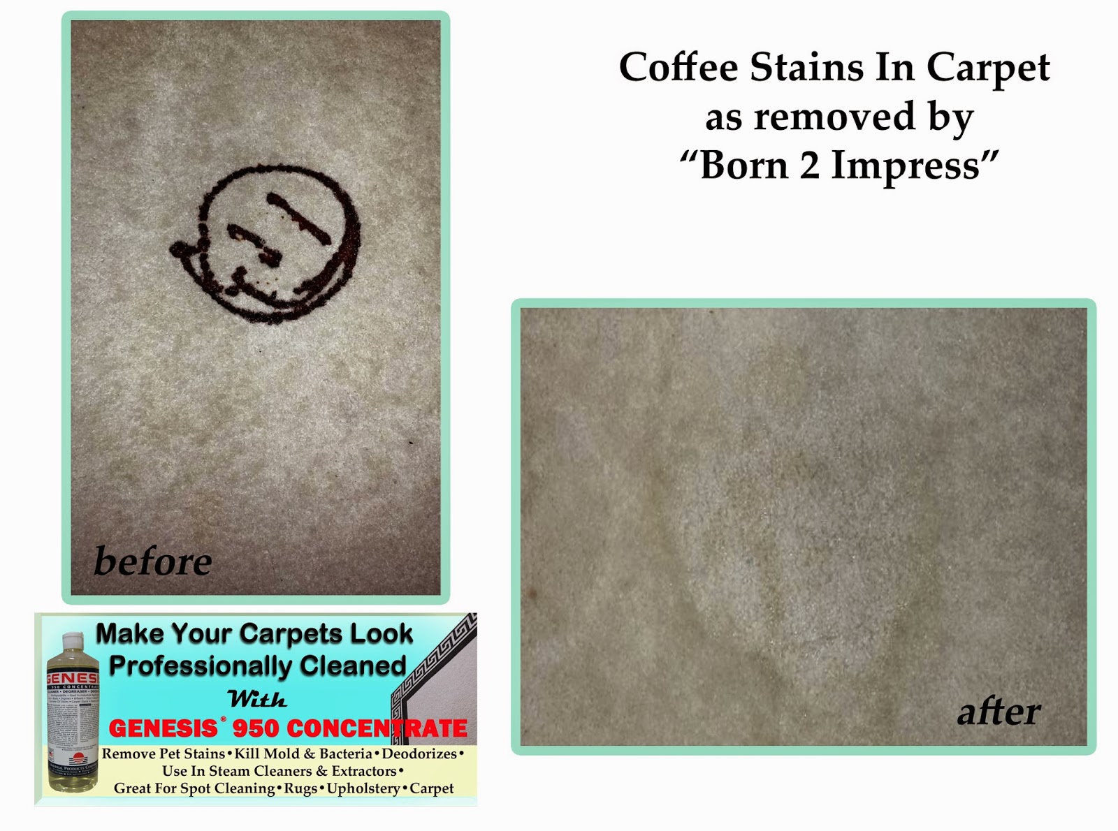 How to remove chocolate stains from carpet clean chocolate stains