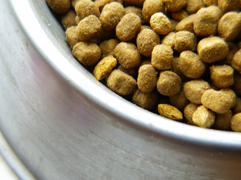 Ciotole Per Cani E Gatti Regole Consigli E Pulizia