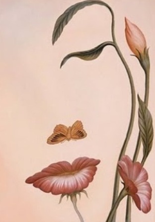 free double vision wallpapers amazing double vision pictures wallpaper something different