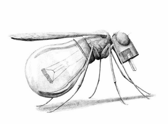 Redmer Hoekstra desenhos ilustrações surreais bizarros animais mesclados misturados criaturas Redmer Hoekstra desenhos ilustrações surreais bizarros animais mesclados misturados criaturas