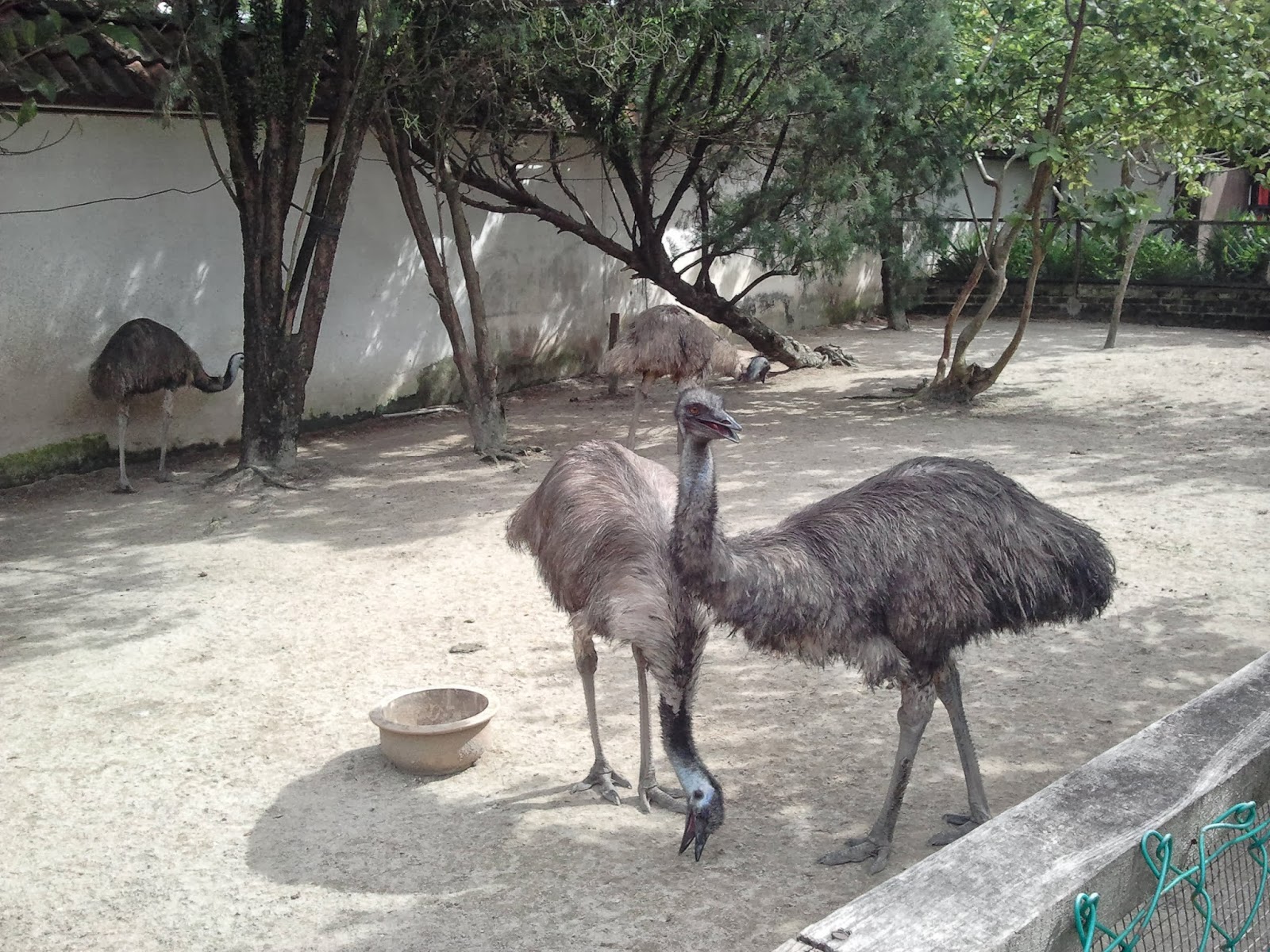 puteri manja: Taman Burung, Seberang Jaya