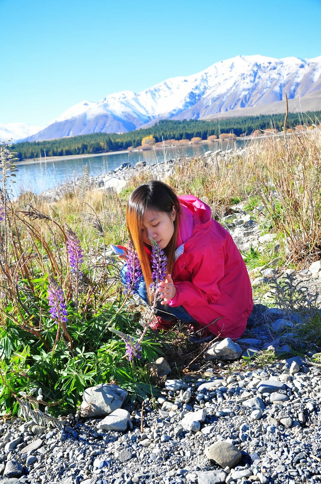 Lake Tekapo