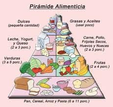 ACTIVIDADES SOBRE ALIMENTACIÓN