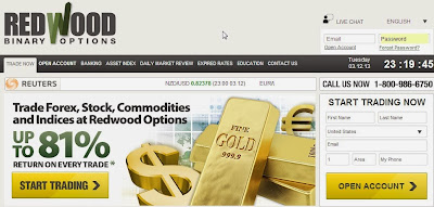 redwood options review of new pair options trading platform