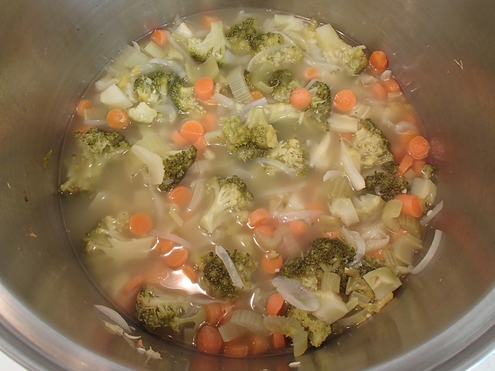 Silv's Journal Broccoli, Carrot & Celery Soup