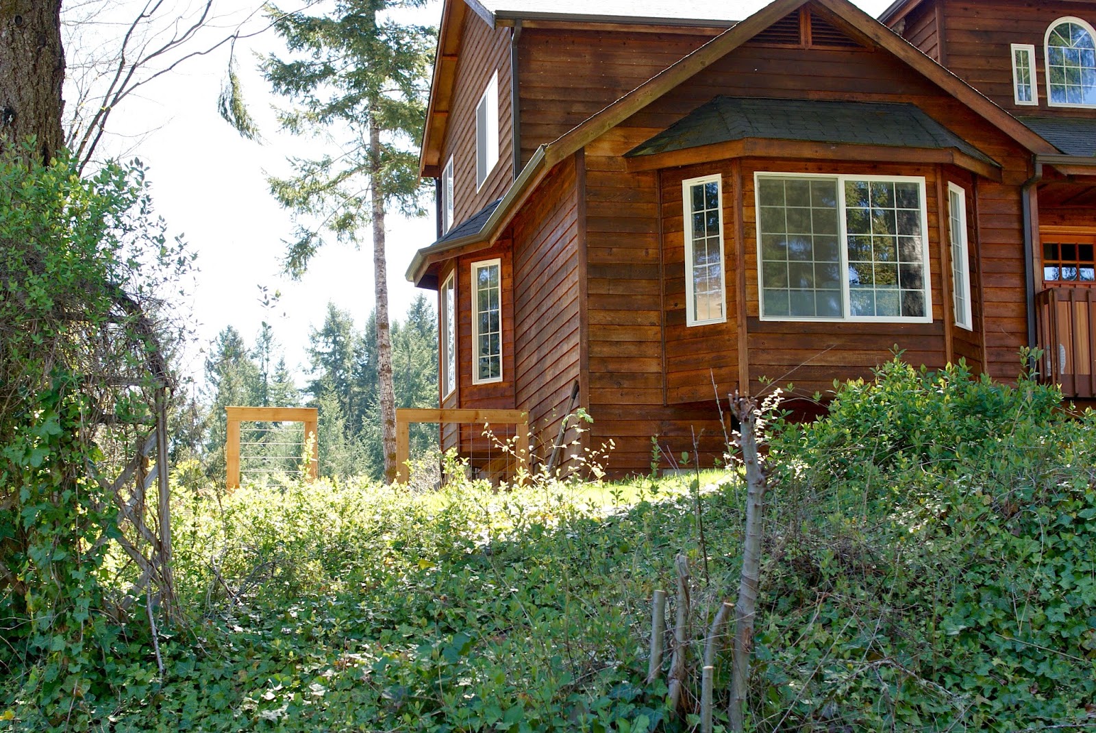 Three Men & One Lady.: DIY Front Yard Fence