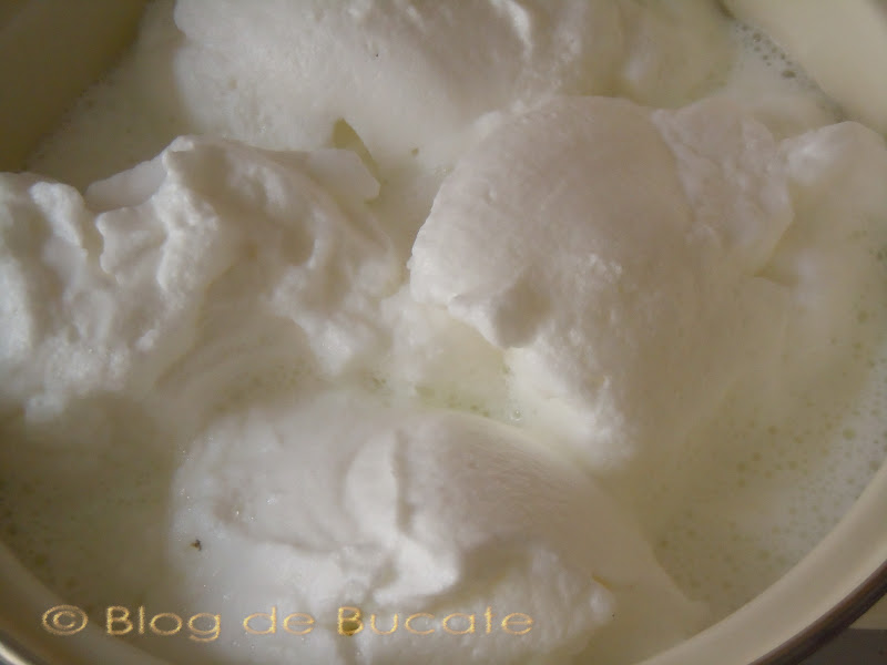 Blog De Bucate Lapte De Pasare