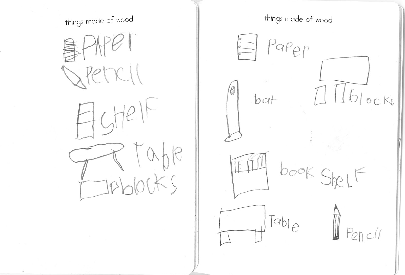 A Place Called Kindergarten Science Notebook Week Tuesday