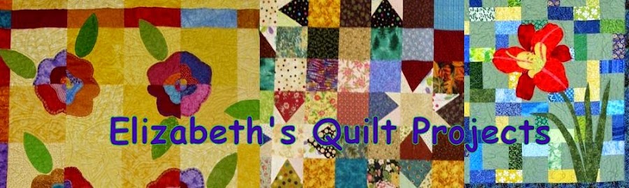 Elizabeth's Quilt Projects