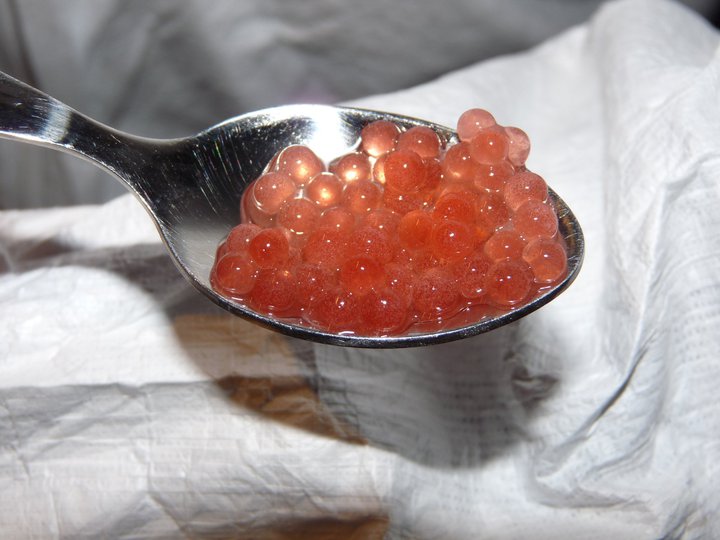 Le Laboratoire Eedx Cuisine Moleculaire Billes De Campari Dans