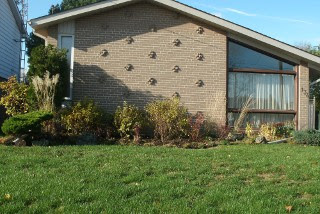 Front yard after new design with new weigela, blueberry, moss phlox by garden muses: a Toronto gardening blog