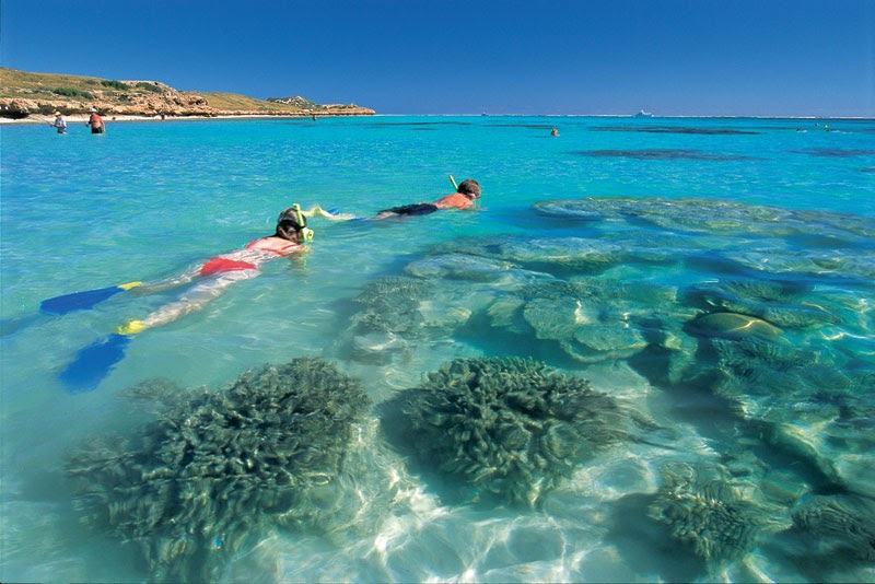 Travel n Travel Ningaloo Reef Western Australia