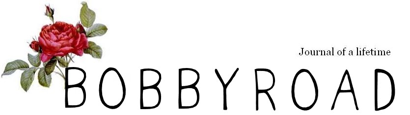 Bobbyroad - journal of a lifetime