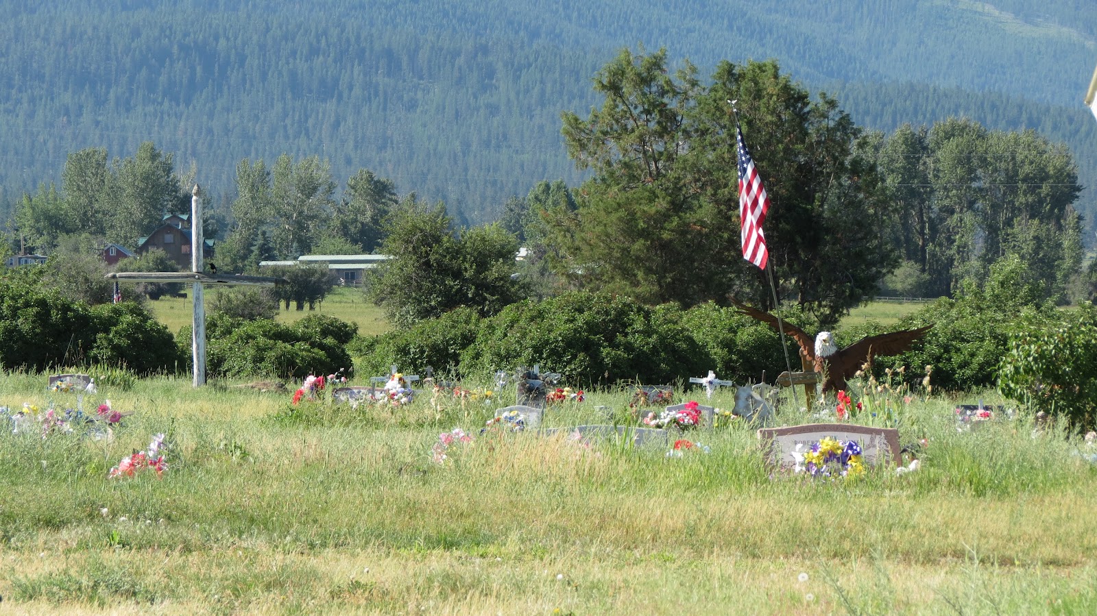 Windows to My Life Writing to Remember Arlee Montana