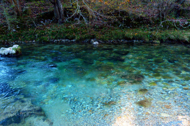 Río Casaño Cabrales Asturias