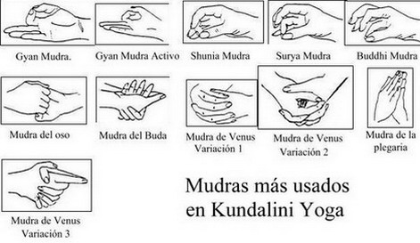 Yogic Mudras