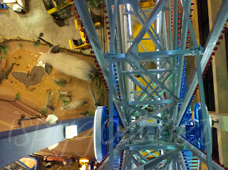 taken from the top of the indoor ferris wheel looking down at the Kalahari Resort in Wisconsin Dells, WI