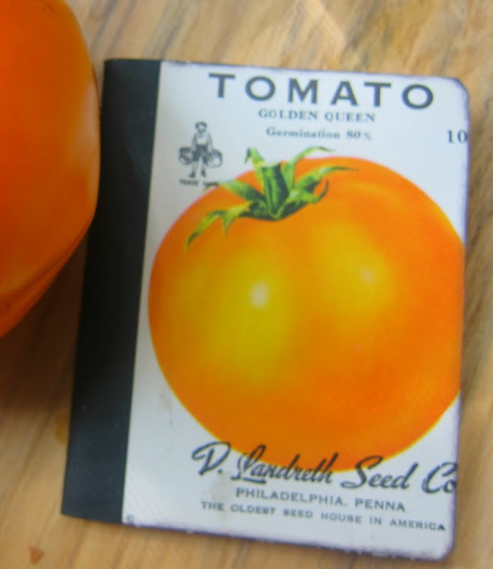 golden queen tomato