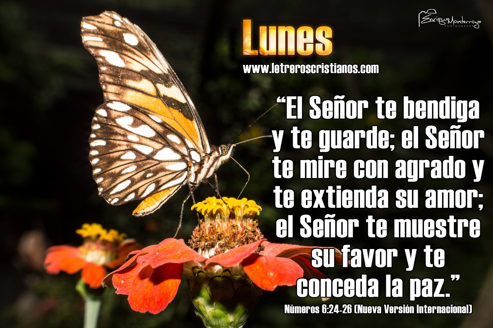 Featured image of post Numeros 6 24 26 Ntv