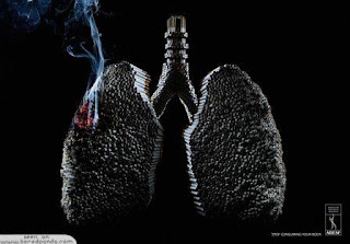 bahaya rokok bagi paru-paru