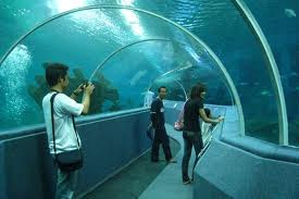 Chiang Mai Aquarium