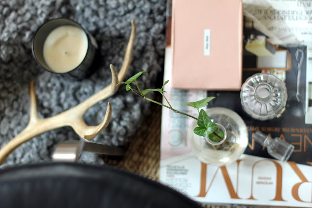 IMG 8918 tonight's mood