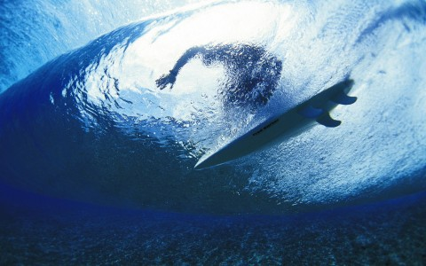 Surfista Surfista