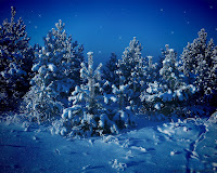pictures photos Winter wallpapers