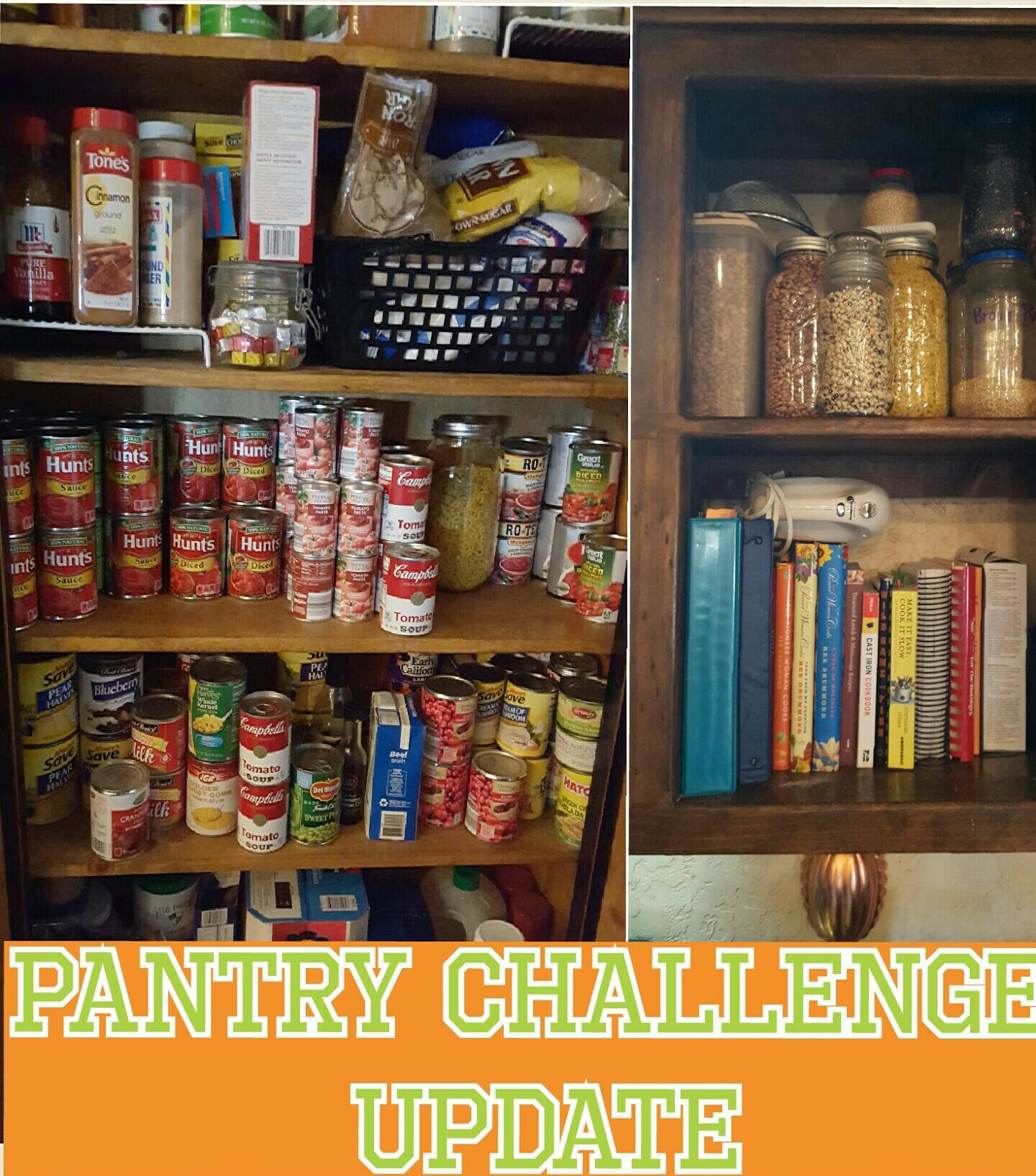 The Mosaic Mom Pantry Challenge Update