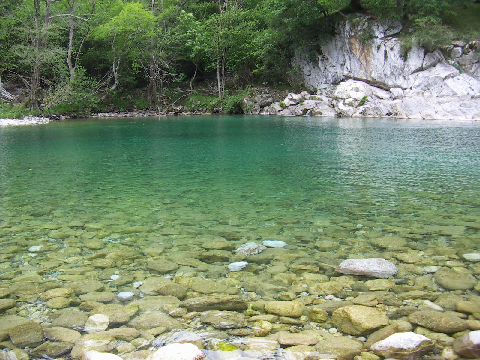 ASTURIAS para disfrutar Olla de San Vicente