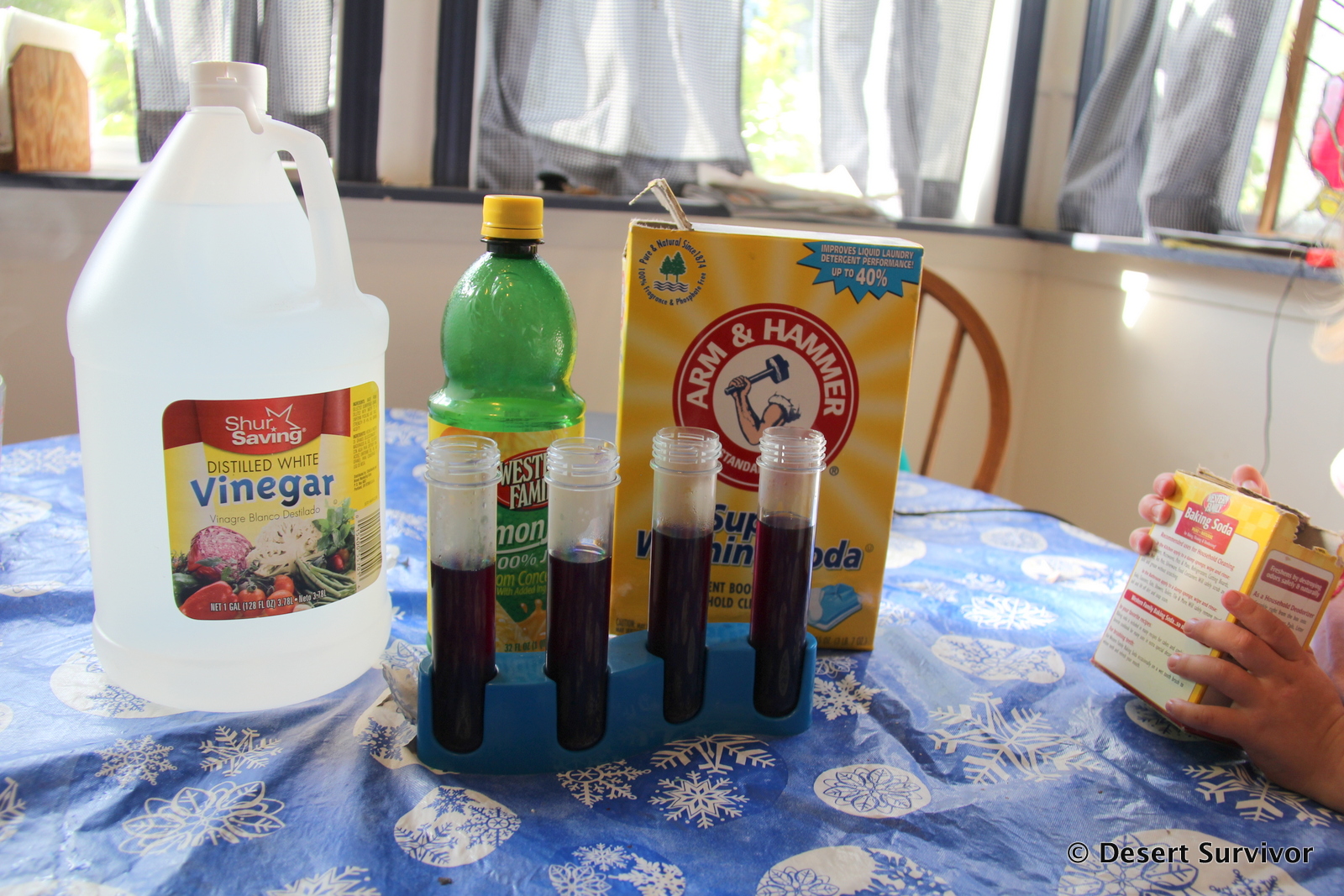 Desert Survivor The Red Cabbage Juice Science Experiment