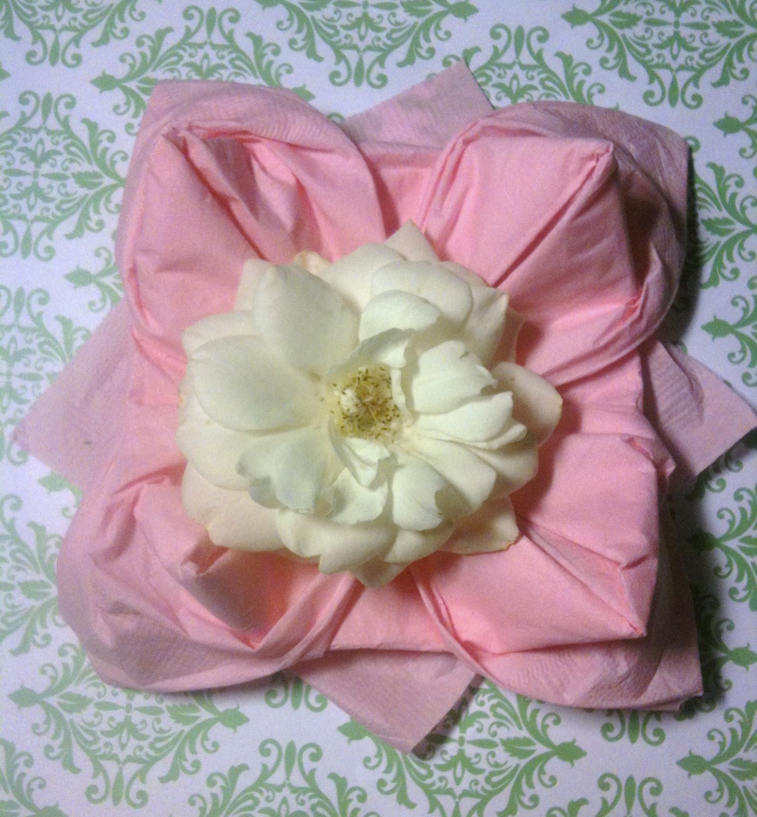 Daisy Celebrates Lotus Flower Napkin Fold