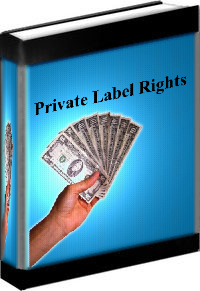 What is PLR ? Private Label Rights Articles eBooks Software