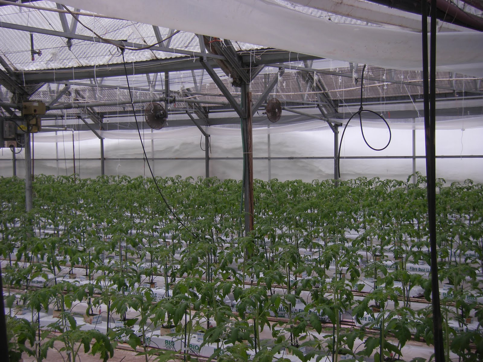 Carters In Alaska Greenhouse Visit in Anchorage March 2,2012