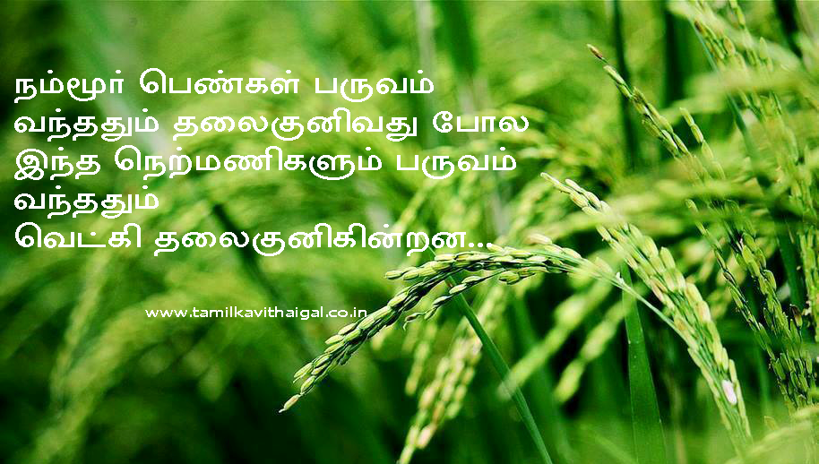 Tamil Kavithai Pengal Kavithai