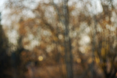 Bokeh of Meopta Openar 40mm @F4.0 - aperture shape visible. Bokeh of Meopta Openar 40mm @F4.0 - aperture shape visible.