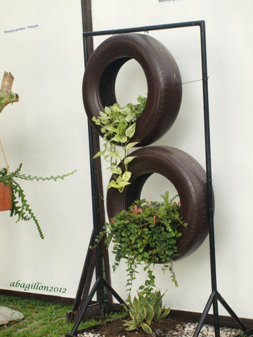 succulents and cactus