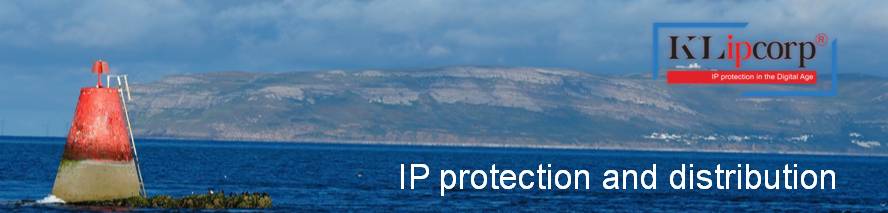 IP protection in the Digital Age