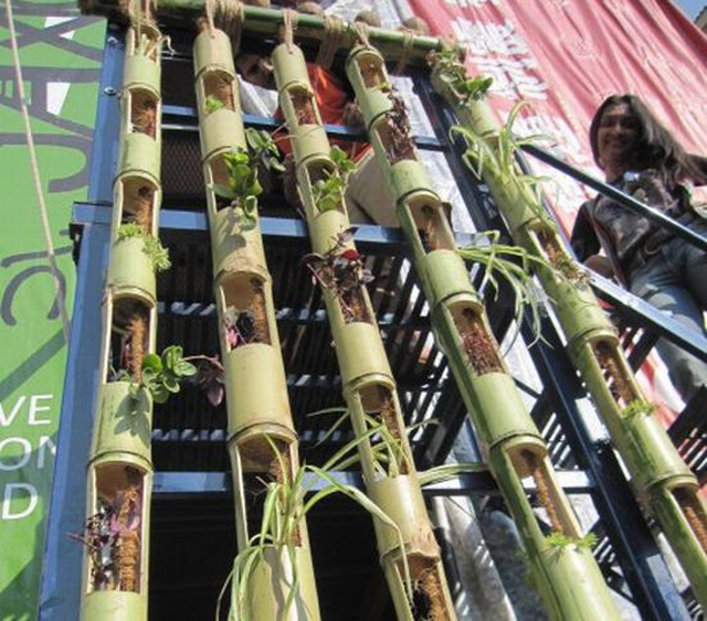 Plantando em pequenos espaços
